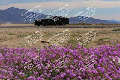 media/Jan-08-2023-SCCA SD (Sun) [[8f6a5b9391]]/Advanced Group/Session 2 (Short Straight)/